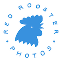 Red Rooster Photos